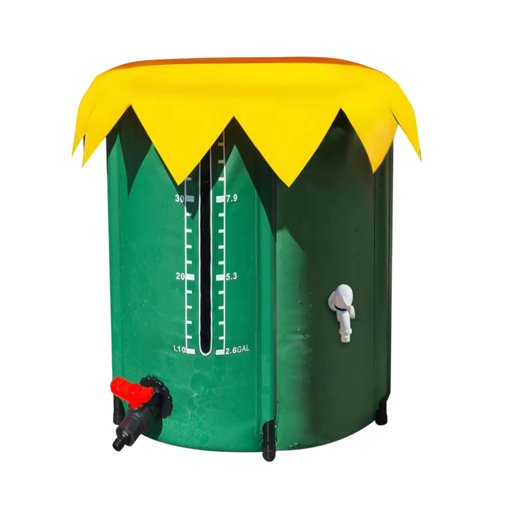 Kolirain