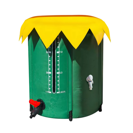 Kolirain