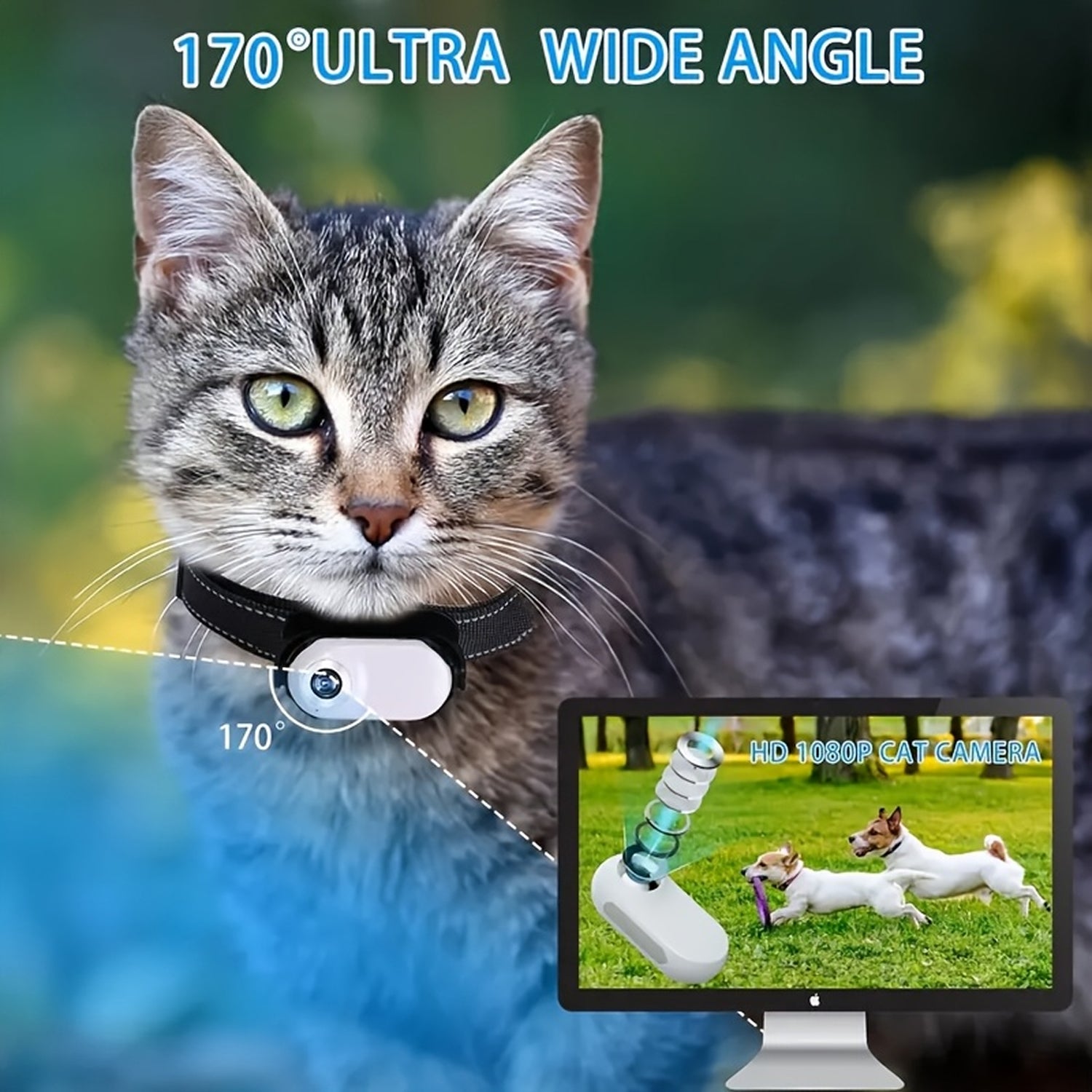 MeowyCam