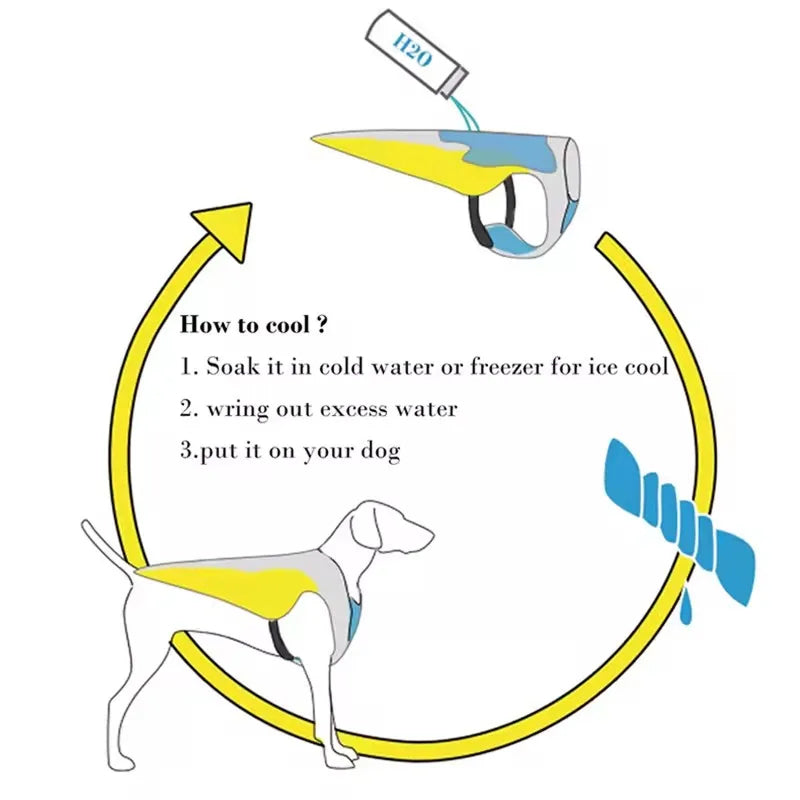 PawiVesto