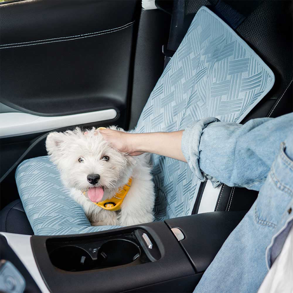 PupiSeat