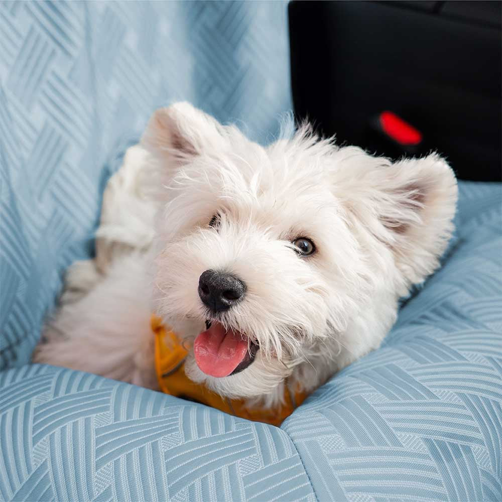 PupiSeat