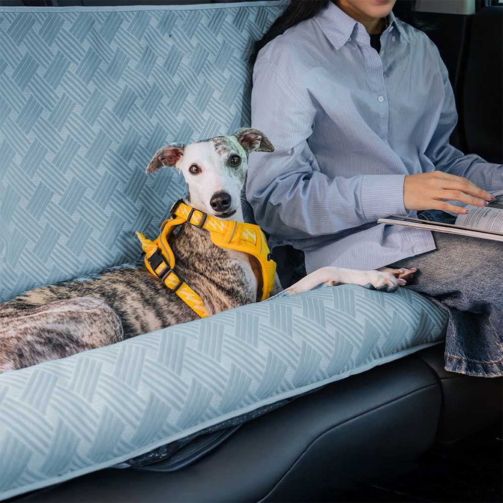 PupiSeat