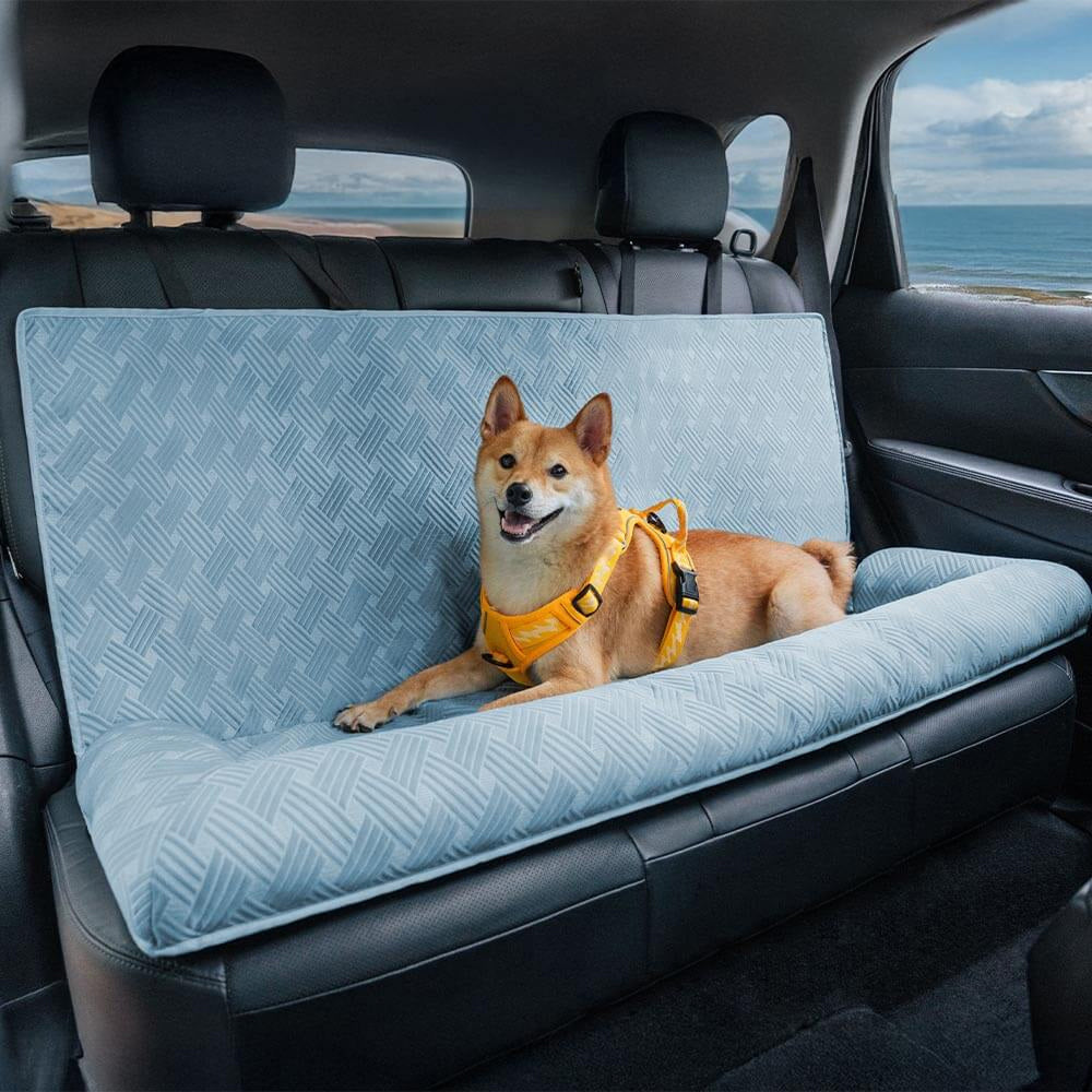 PupiSeat