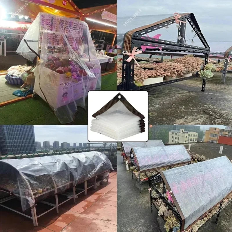 RainiTarp