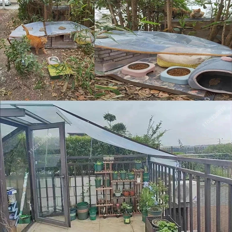 RainiTarp