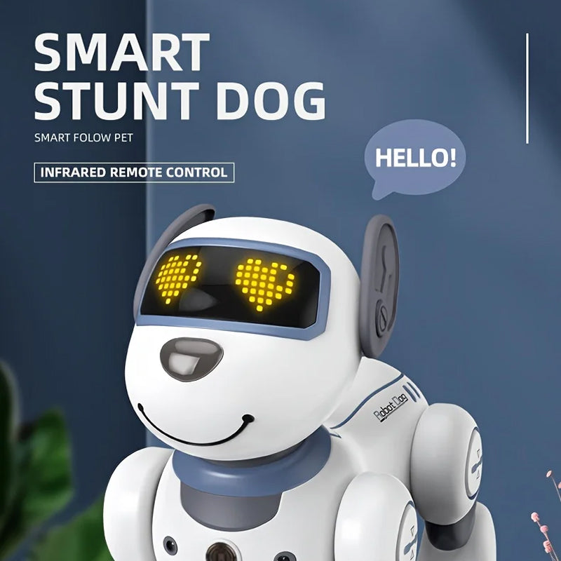RoboKinek