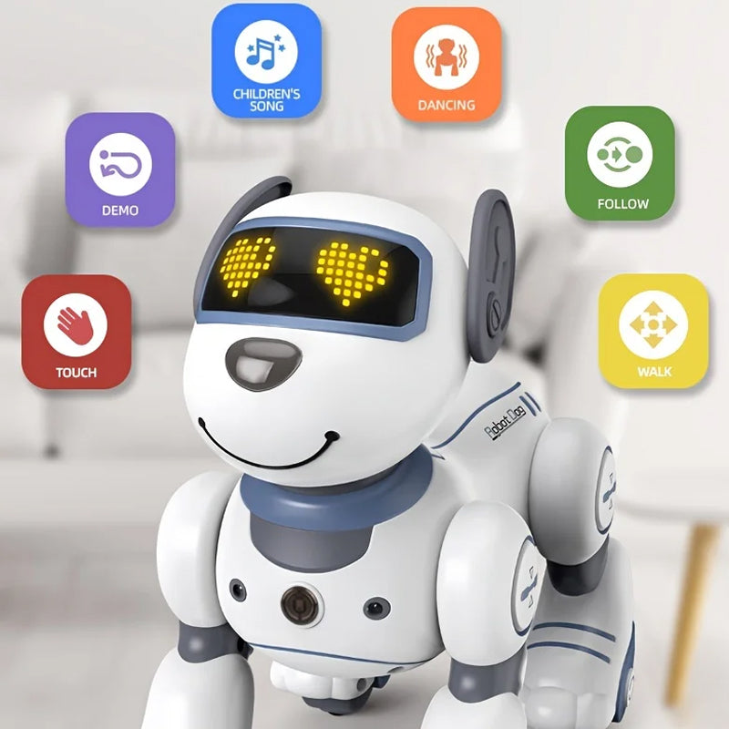 RoboKinek