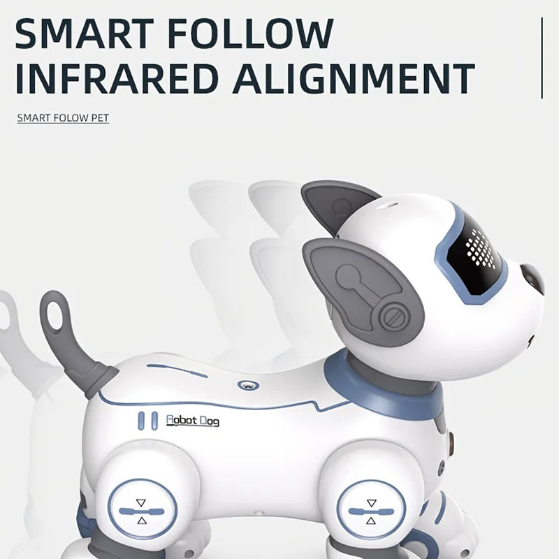 RoboKinek