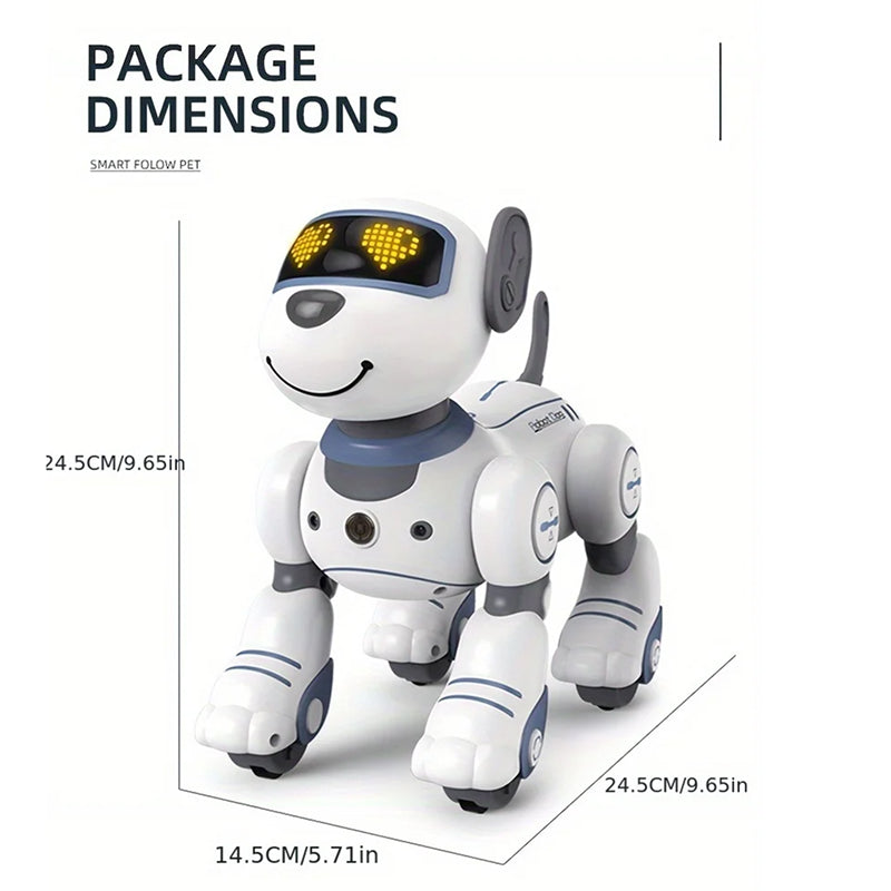RoboKinek