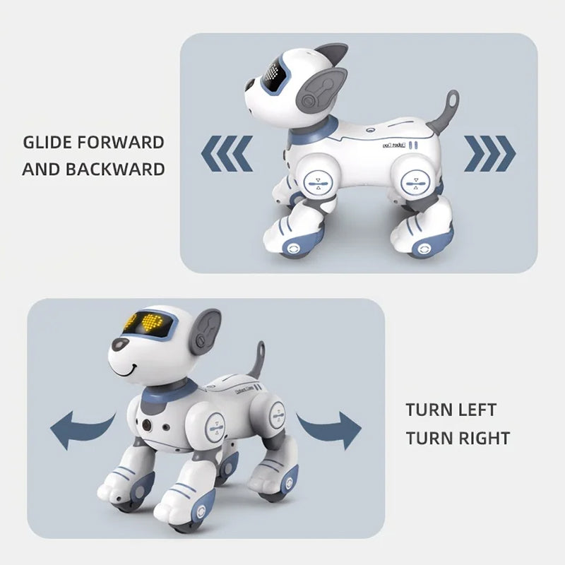 RoboKinek