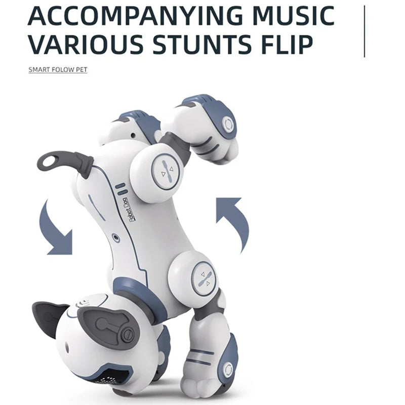 RoboKinek