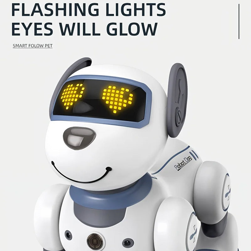 RoboKinek