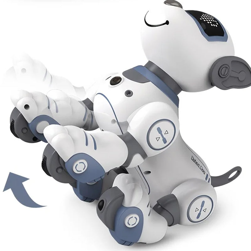 RoboKinek