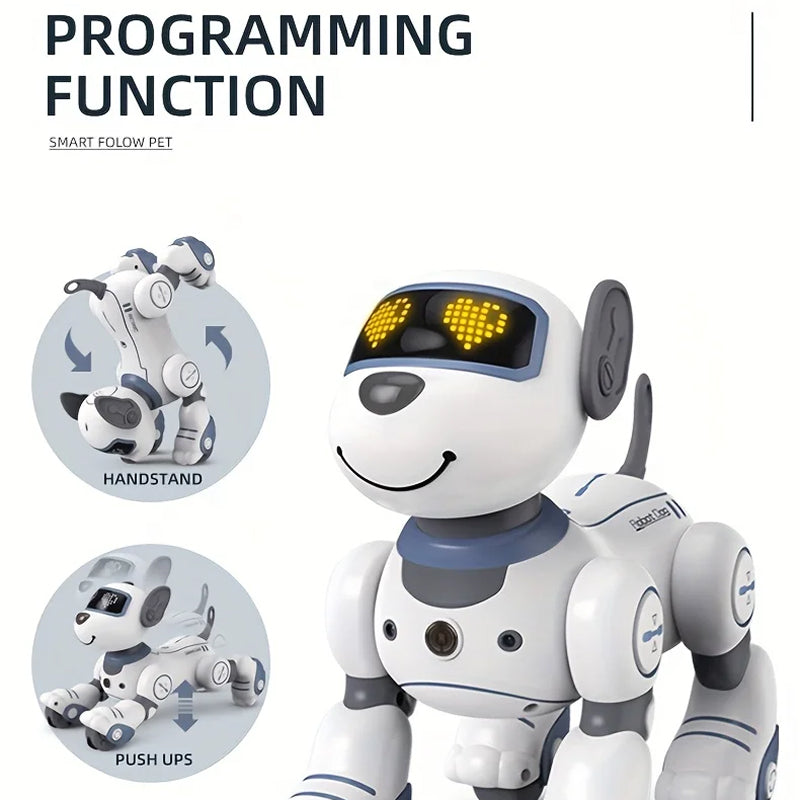 RoboKinek