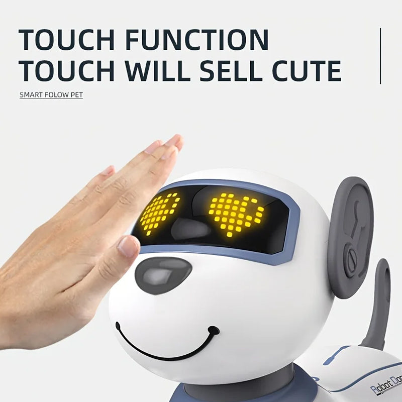 RoboKinek