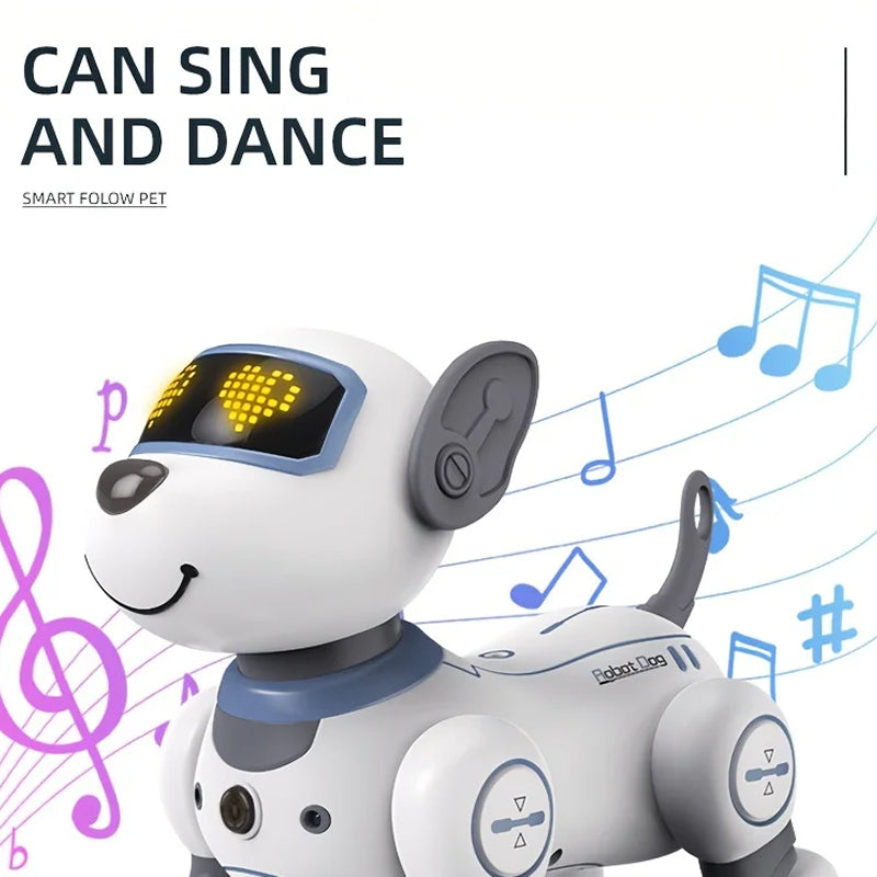 RoboKinek
