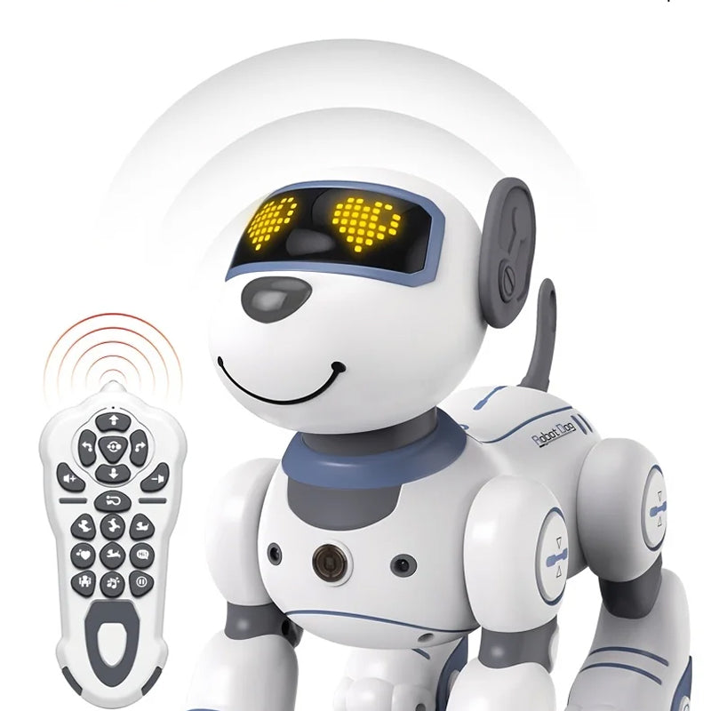 RoboKinek
