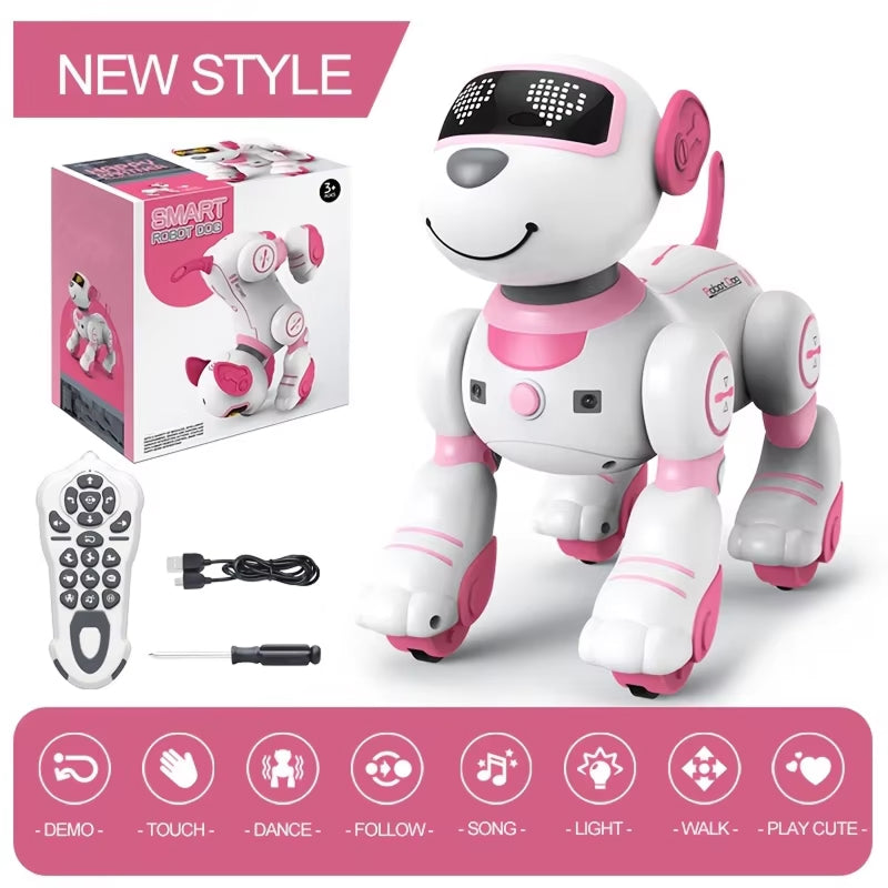 RoboKinek