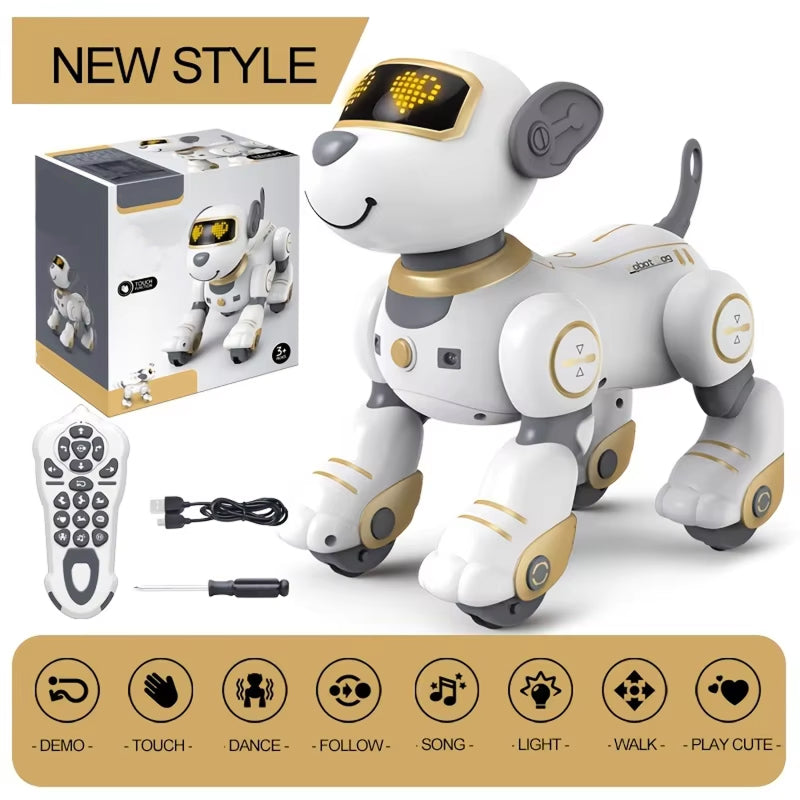 RoboKinek