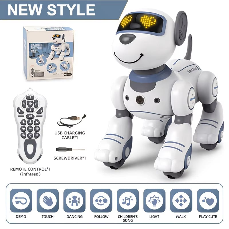 RoboKinek