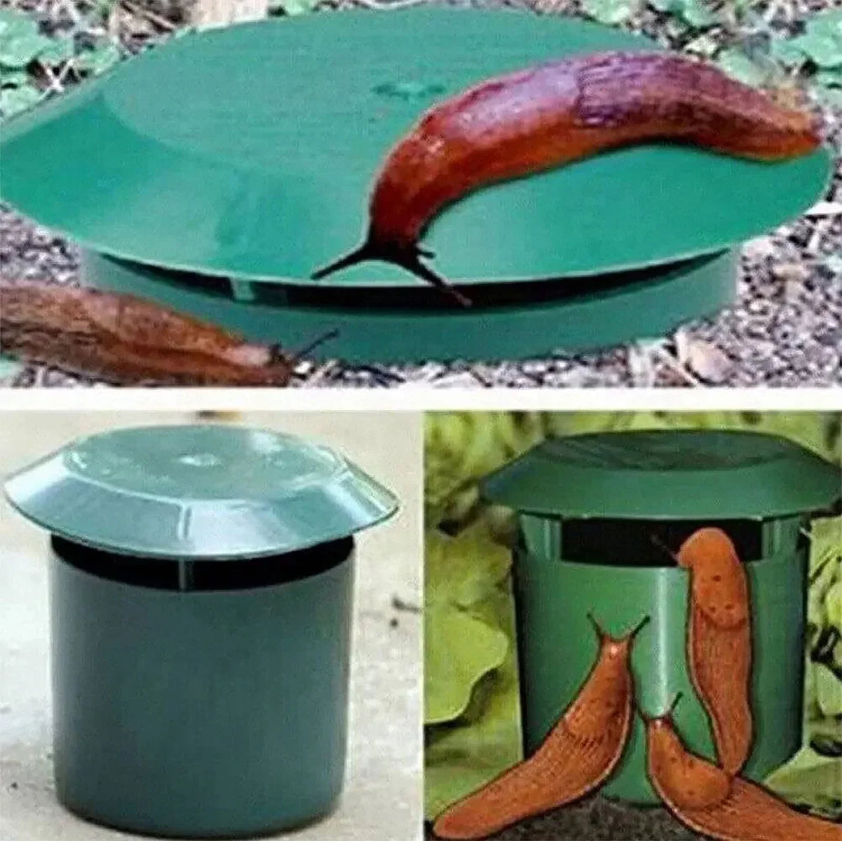 SlugiAway