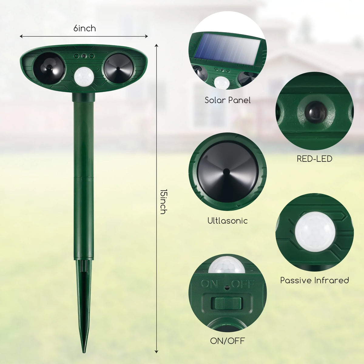 Squirrixy
