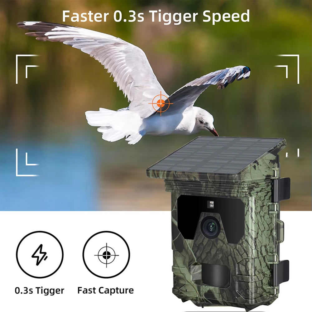 Wildsnap v2